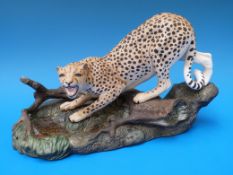 A Beswick cheetah at a watering hole