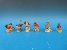 Six Beswick birds to include goldcrest,