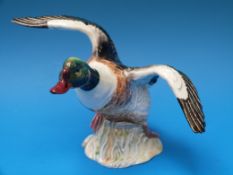 A Beswick shelduck  (no 994)