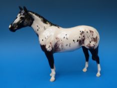 A Beswick Appaloosa H1772,