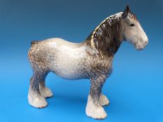 A Beswick standing Shire horse in rocking horse grey colourway