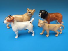 A Beswick Jack Russell terrier together with a St Bernard  