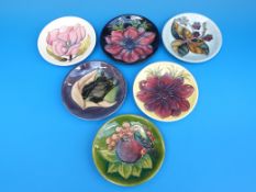 Six Moorcroft pin dishes (11.