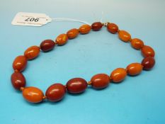 A necklace of amber beads, the largest 1.