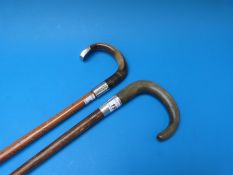 A rhinoceros handled walking stick with a silver collar (Birmingham 1931) and a buffalo handled