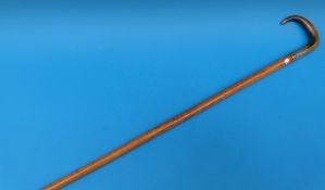 A rhinoceros horn handled cane with silver collar (hallmarked 1910) and malacca shaft