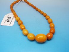 A necklace of graduated oval amber beads, the largest approximately 2.