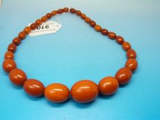 A necklace of graduated oval amber beads, the largest approximately 2.