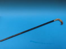 A rhinoceros horn handled walking stick with a silver collar (Ldn 1912)