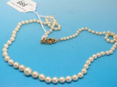 A single strand necklace of graduating pearls with gold floral clasp