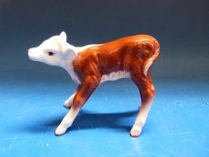 An early Beswick Hereford calf