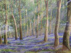 A white framed and glazed acrylic on paper 'Bluebells' signed and dated SR Gilmore 2004 (41cm x