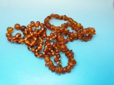 Two amber necklaces,
