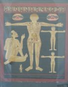 An Asian oil on canvas of five anatomically drawn figures with script around, in gilt frame (49.