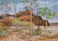 E Colin Williams ARCA (b.