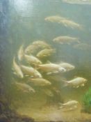 Gerrit William Dijsselhof (1866-1924): Oil on canvas of fish, monogrammed lower right,