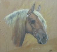 A pastel of horse's head 'Brummel' monogrammed AH lower right  (35cm x 38.