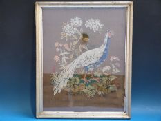 A Victorian cross stitch embroidery of a pheasant