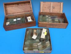 Two wooden boxes and a tin of microscope specimen slides including pathology, physiology, botanical,