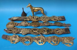 A quantity of martingale style horse brasses,