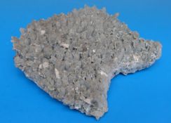 A very large grey geological sample of quartz with opaque crystals,