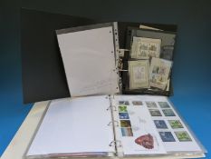 Two albums of GB QE II stamps including complete Millennium issues,