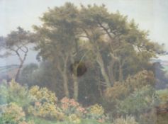 Herbert George (Cornish): Watercolour heathland scene depicting pine trees and rhododendrons.