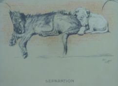 Two coloured Cecil Aldin prints of dogs entitled  'Separation' and 'Undulation',