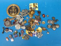 A quantity of US military badges and insignia to include US Navy, Pararescue, USAF etc.
