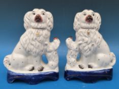 A pair of 19th century Staffordshire mantel dogs with puppies (21cm tall)