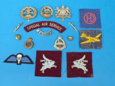 A collection of military badges relating to SAS, air dispatch,
