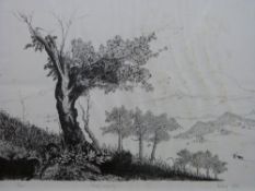 Three signed Chinese limited edition prints by WW.