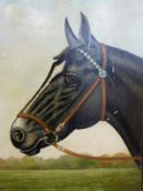 Two oils on board of racehorses, marked F.