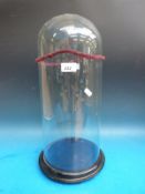 A glass dome and base (height 48cm)