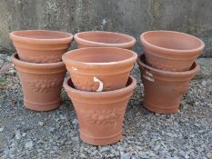 Eight terracotta pots