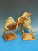 A pair of novelty taxidermy toads formed as musicians, one playing an accordion,