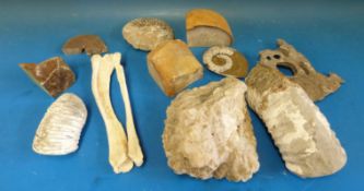 A quantity of geological samples,