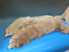 Two vintage fur stoles