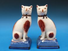 A pair of Staffordshire cats (18cm tall)
