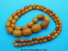An amber necklace made up of 69 graduated oval beads all of egg yolk colour (largest bead 2.