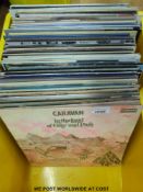 Twenty Fairport Convention vinyl albums including Unhalfbricking