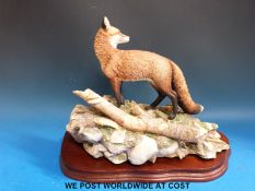 A Border Fine Arts fox figure on naturalistic base 'The Last Look' by D.