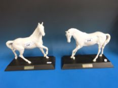 Two Beswick matt white horses on black wooden plinths,