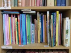 A box of children's pop up books