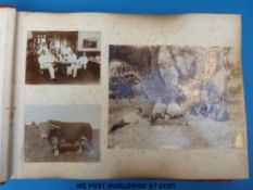 An early 20thC photograph album relating to Robert Gilligan,