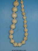 A necklace of graduated ivory beads, the largest bead measuring 15.5mm and the smallest 5.