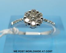 An 18ct white gold ring set with seven diamonds in a cluster (size K)