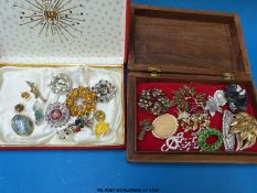 A collection of brooches