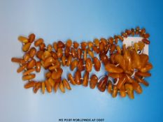 A butterscotch amber necklace of 97 irregular shaped beads (60g)