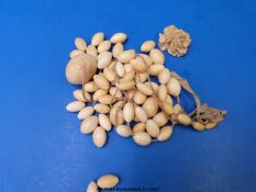 A collection of ivory beads